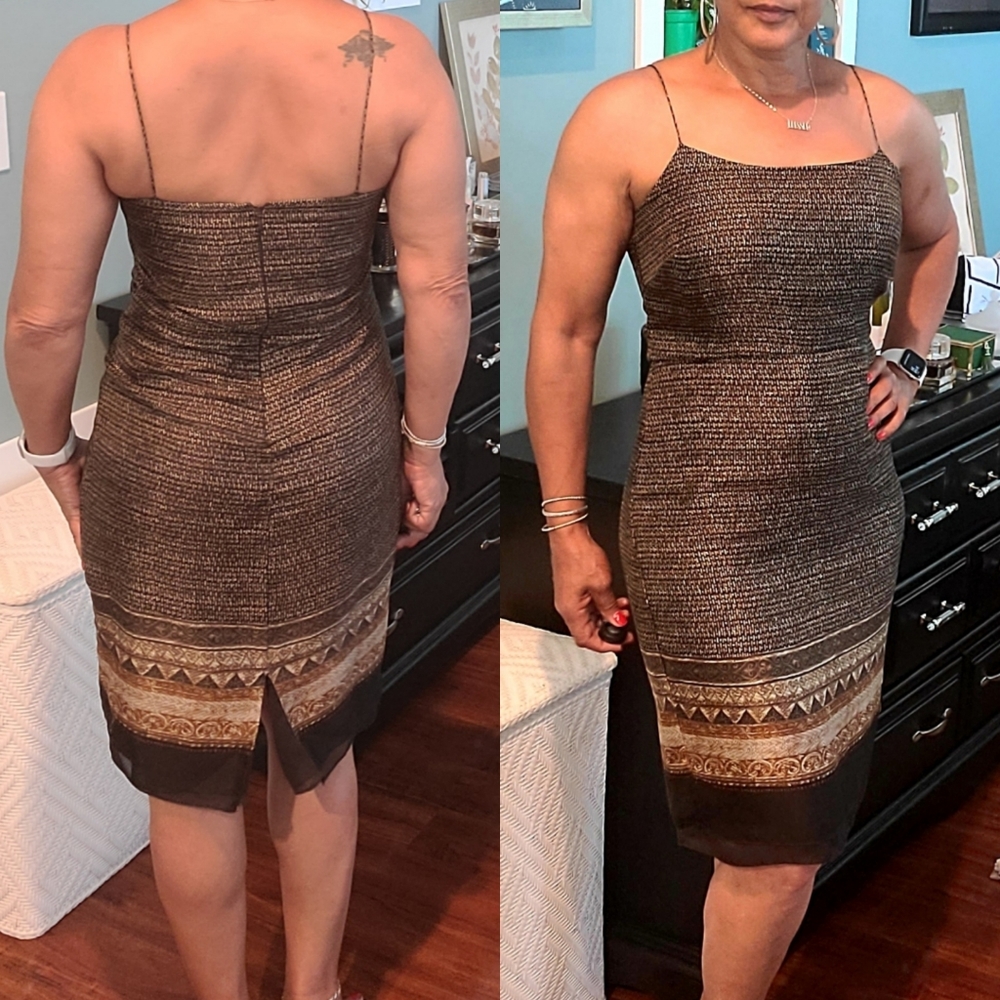 Ann Taylor Dress